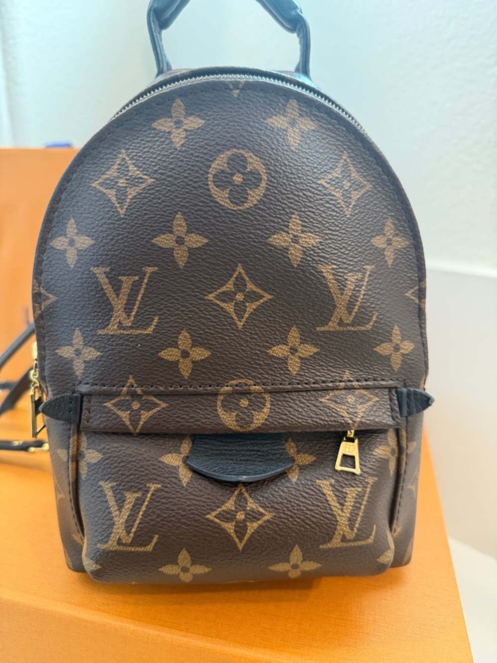 Louis Vuitton Palm Springs Mini Backpack Monogram Canvas Reverse Bag - Picture 1 of 6